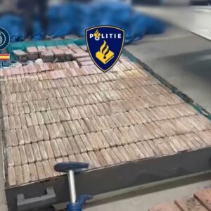 Golpe al Cártel de Nueva Jalisco en España: contaba con almacenes en Talavera y era objetivo de la DEA