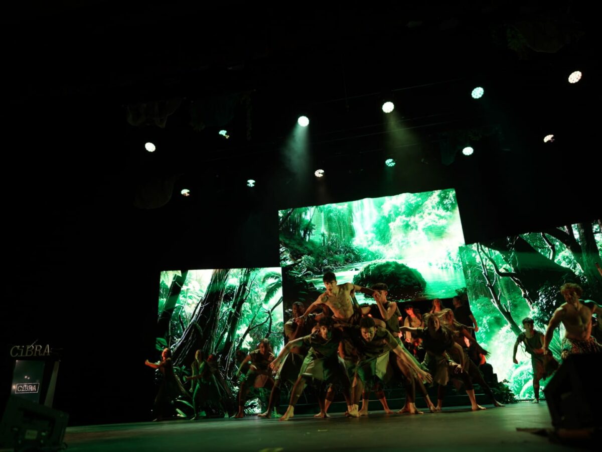 El Festival CiBRA 2025 cierra con un homenaje a la Naturaleza