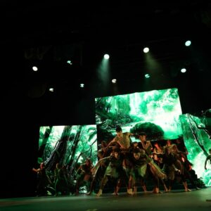 El Festival CiBRA 2025 cierra con un homenaje a la Naturaleza