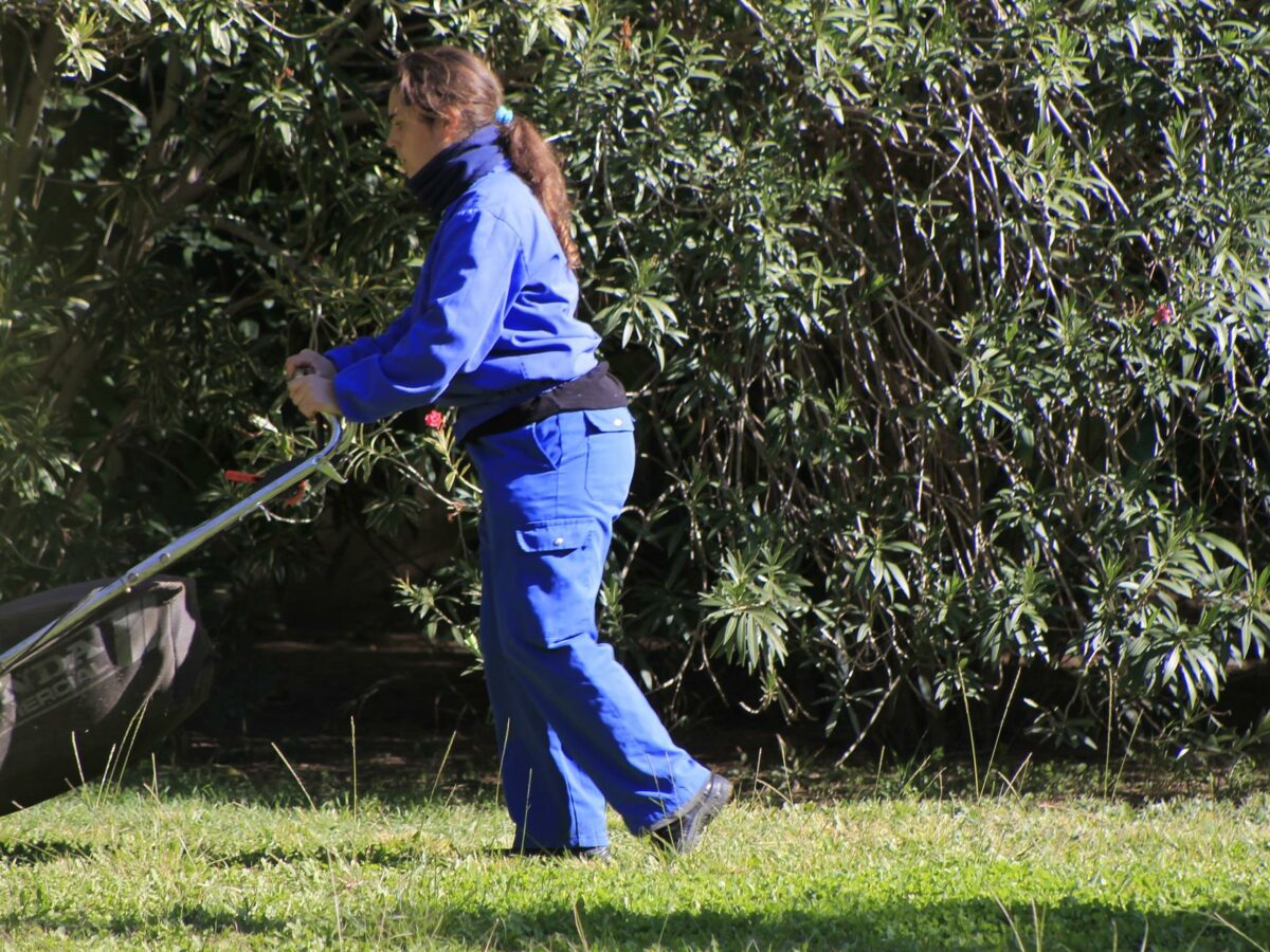 El paro desciende de nuevo en el mes de noviembre en Toledo: hay 171 personas menos desempleadas